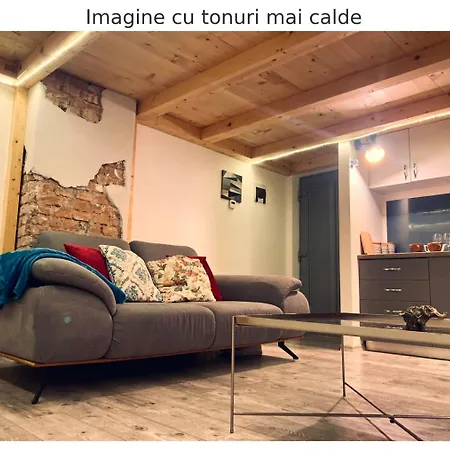 Cozy Loft Apartment Cluj-Napoca